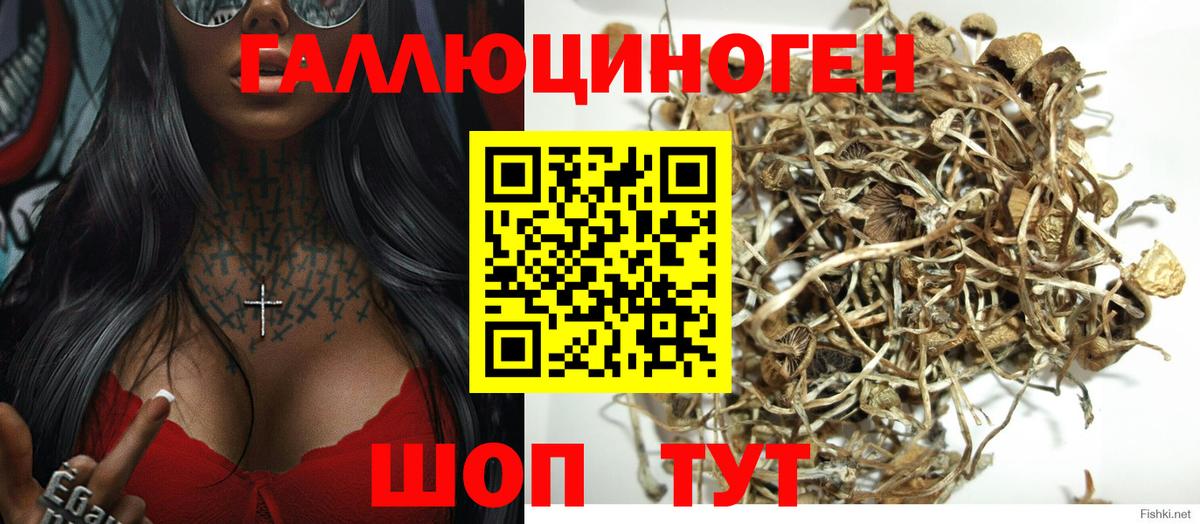 Трёхгорный  Галлюциногенные грибы Psilocybine cubensis  Вход с VPN 