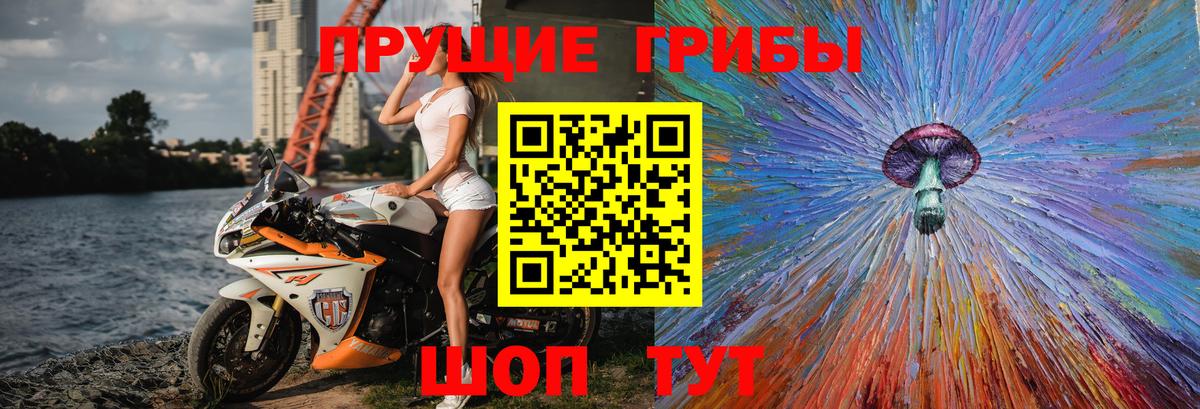 Псилоцибиновые грибы мухоморы Трёхгорный
